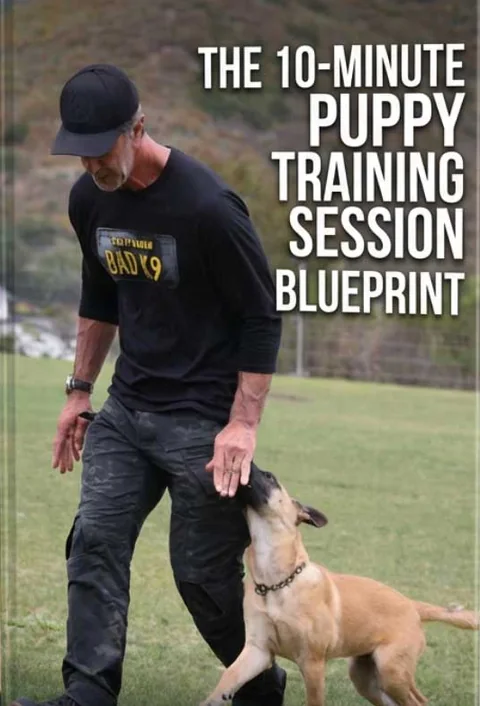 The 10-Minute Puppy Training Session Blueprint e-book by Robert Cabral