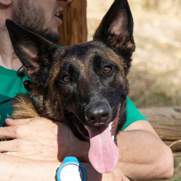 Israel S. with their dog
