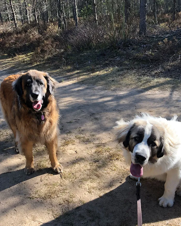 Brolle and Anouk