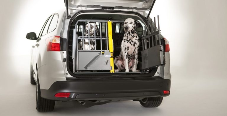 Dogs in Crates in Cars
