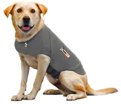 ThunderShirt for Anxious Dogs