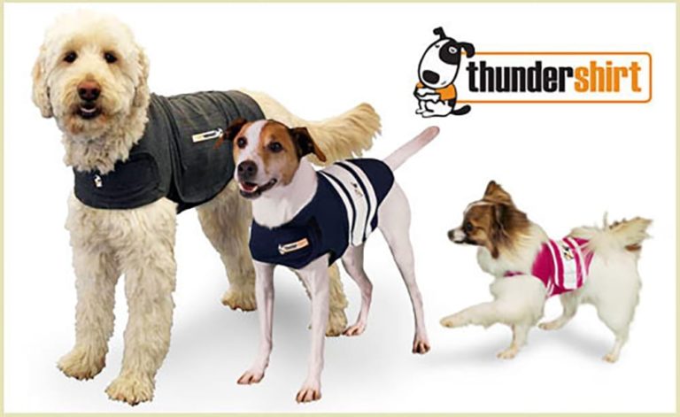 Thundershirt for Dogs