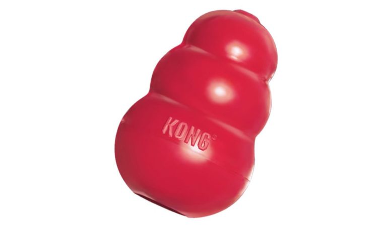 Kong Toy Chew Toy for Dogs