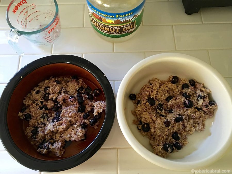 home-cooked-meals-for-dogs-breakfast-robert-cabral