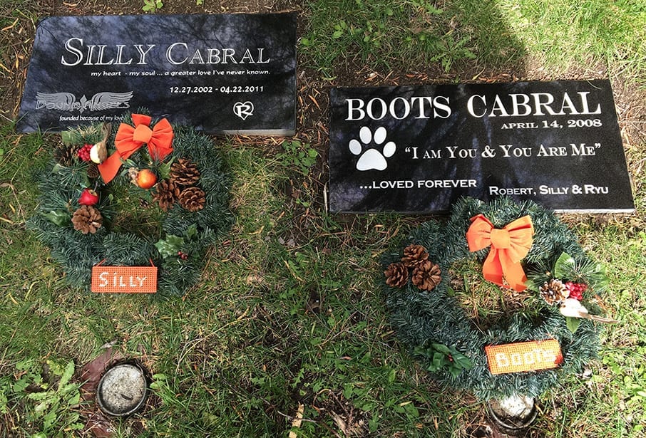 Boots and Silly's graves at Christmas time.