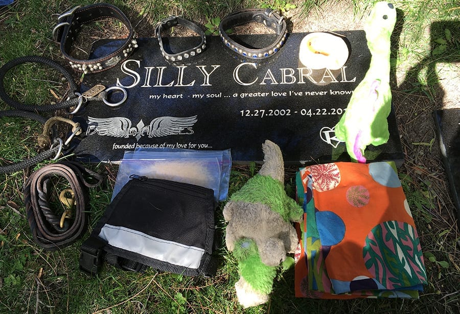 Silly's grave on his birthday