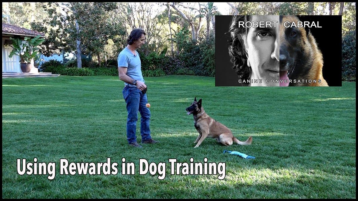 training rewards