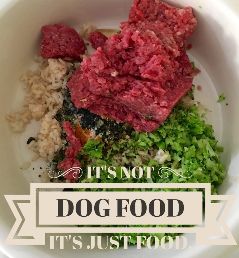 Dog Food for optimum health