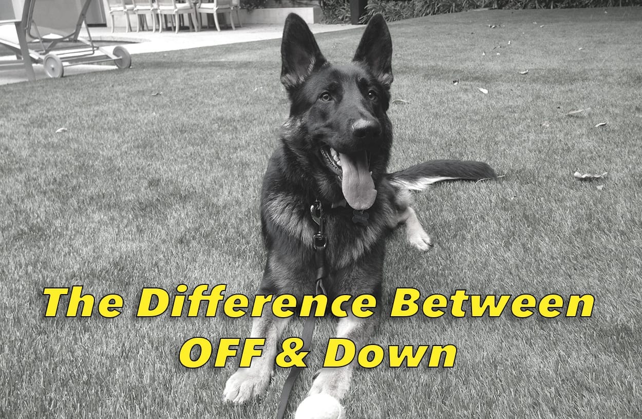 The Difference Between Off and Down