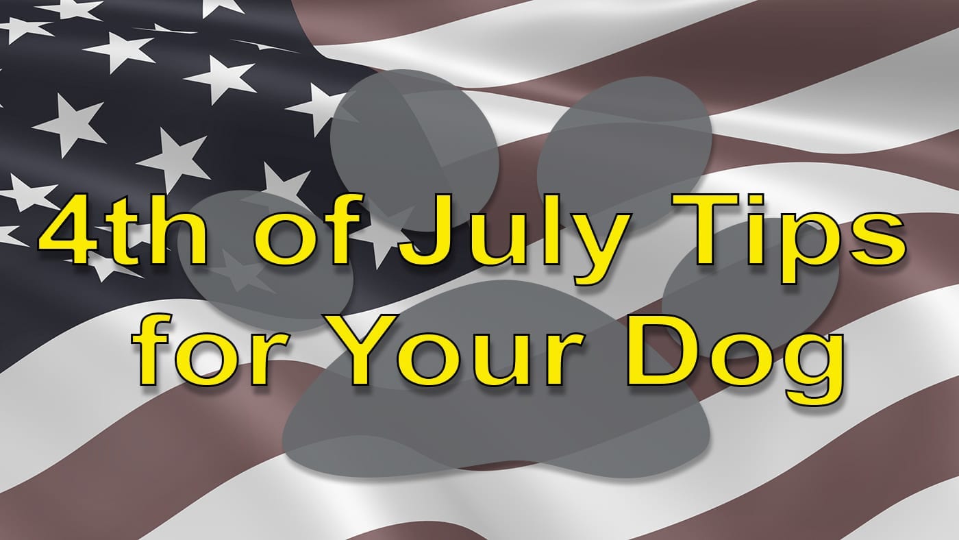 4th of July Tips for your dog