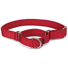 GoGo Pet Martingale collar