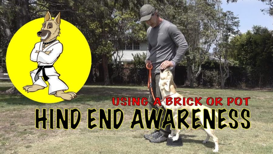 heel on brick- hind end awarenessFI