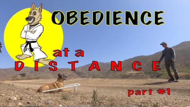 obedience at a distance