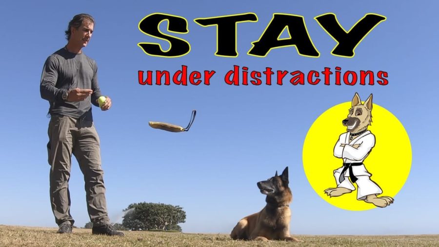 stay under distractions FI