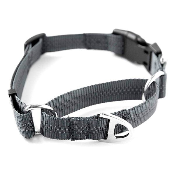 Herm Sprenger UltraPlus Prong Training Dog Collar Robert Cabral