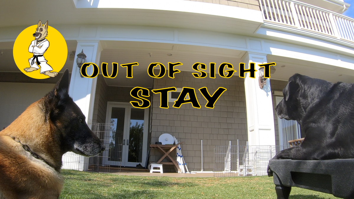 Out of Sight – STAY