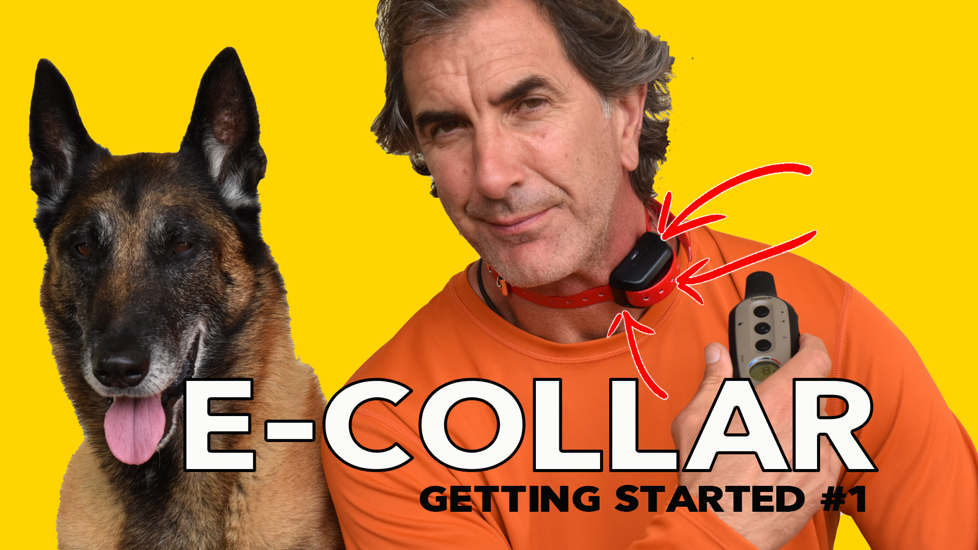 E-Collar – Getting Started