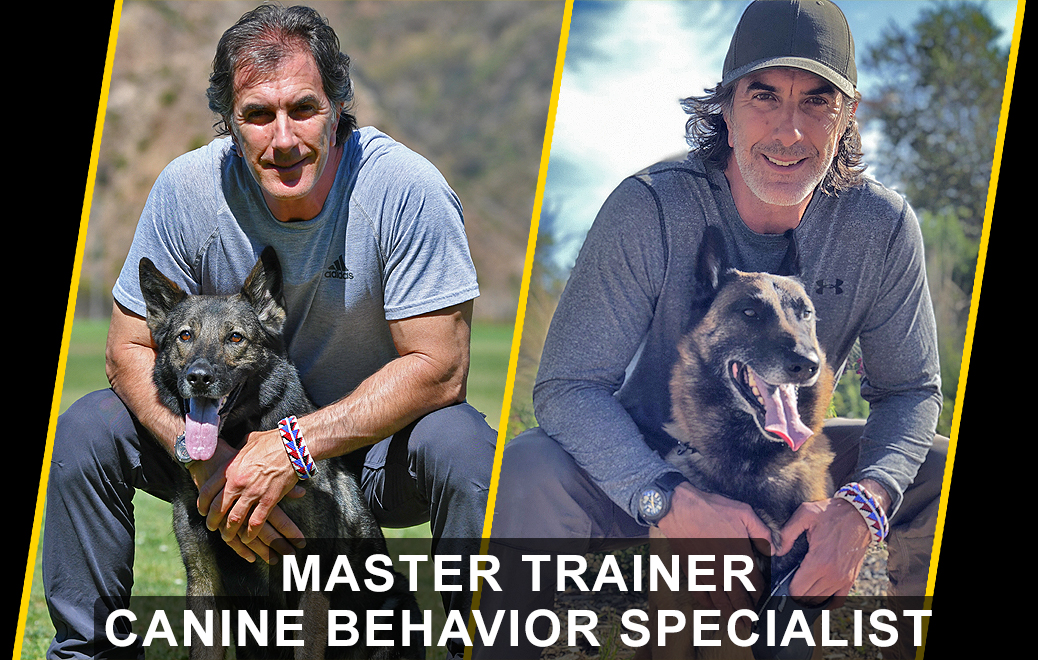 behavior dog trainer