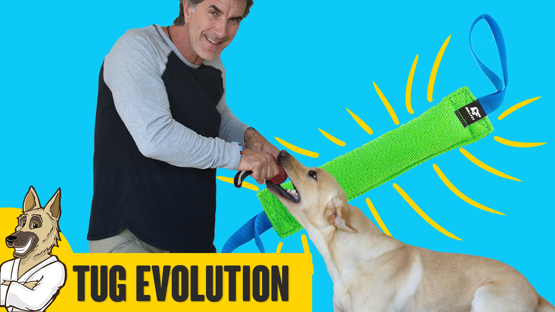 Playing Tug with Your Dog – the Evolution