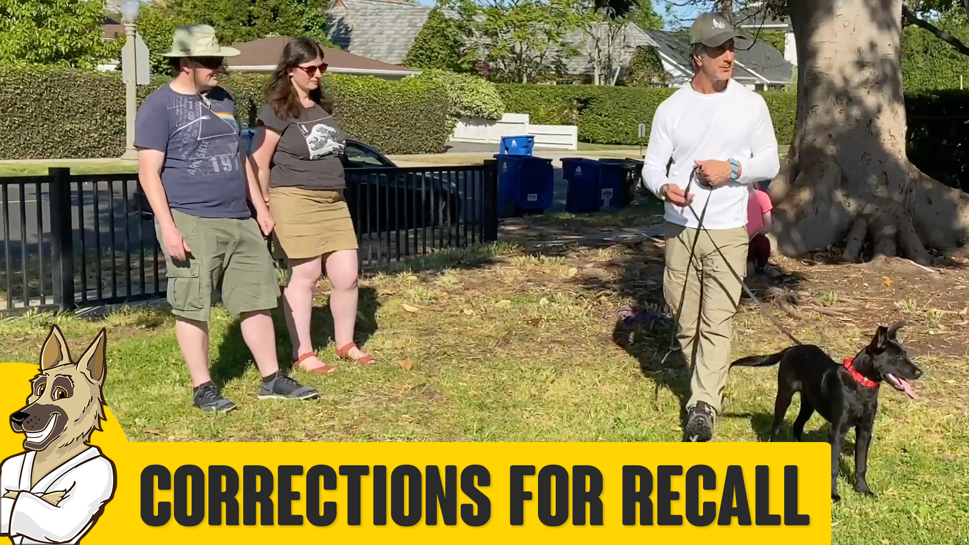RECALL Training with Corrections