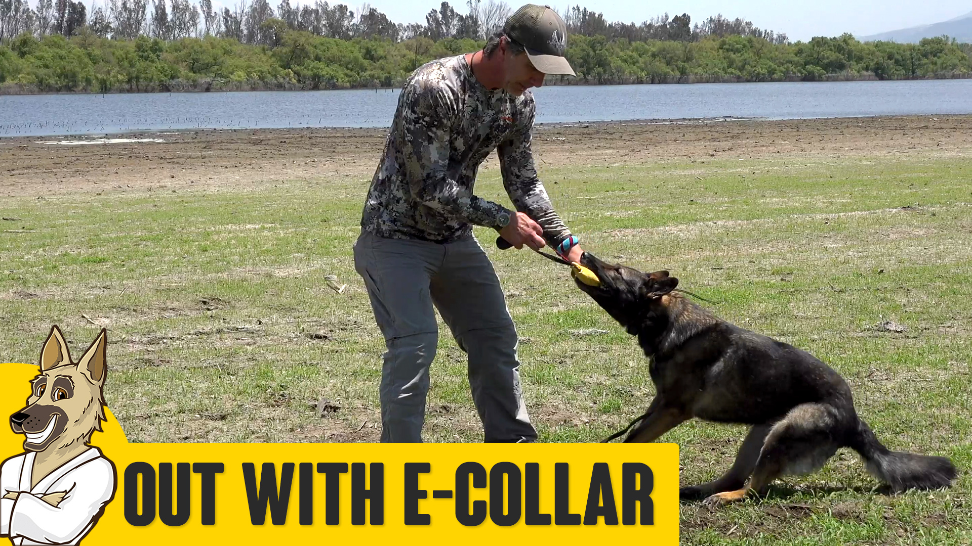 Teaching OUT with E Collar