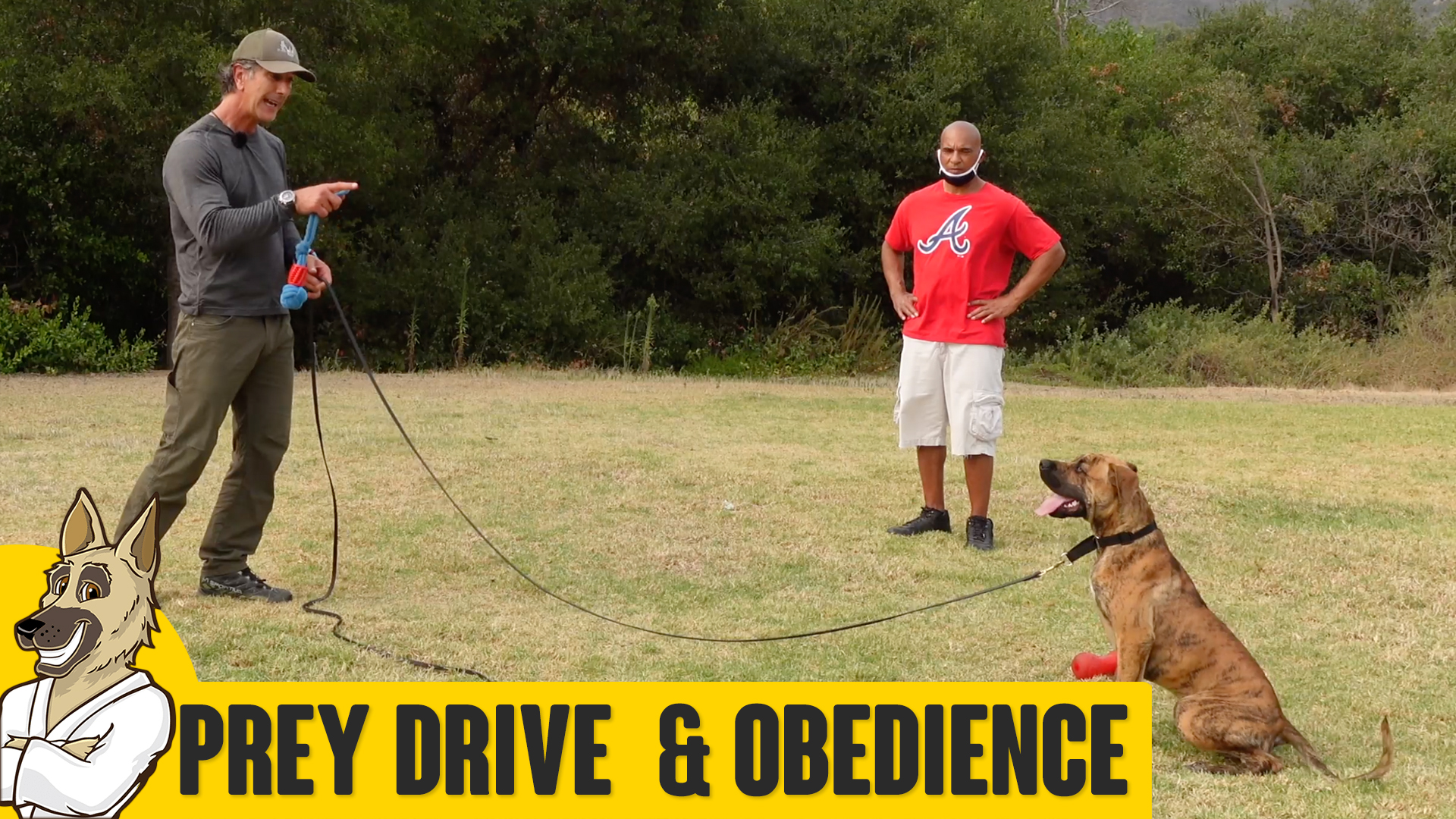 Controlling a High Drive Dog – Rio Part Two