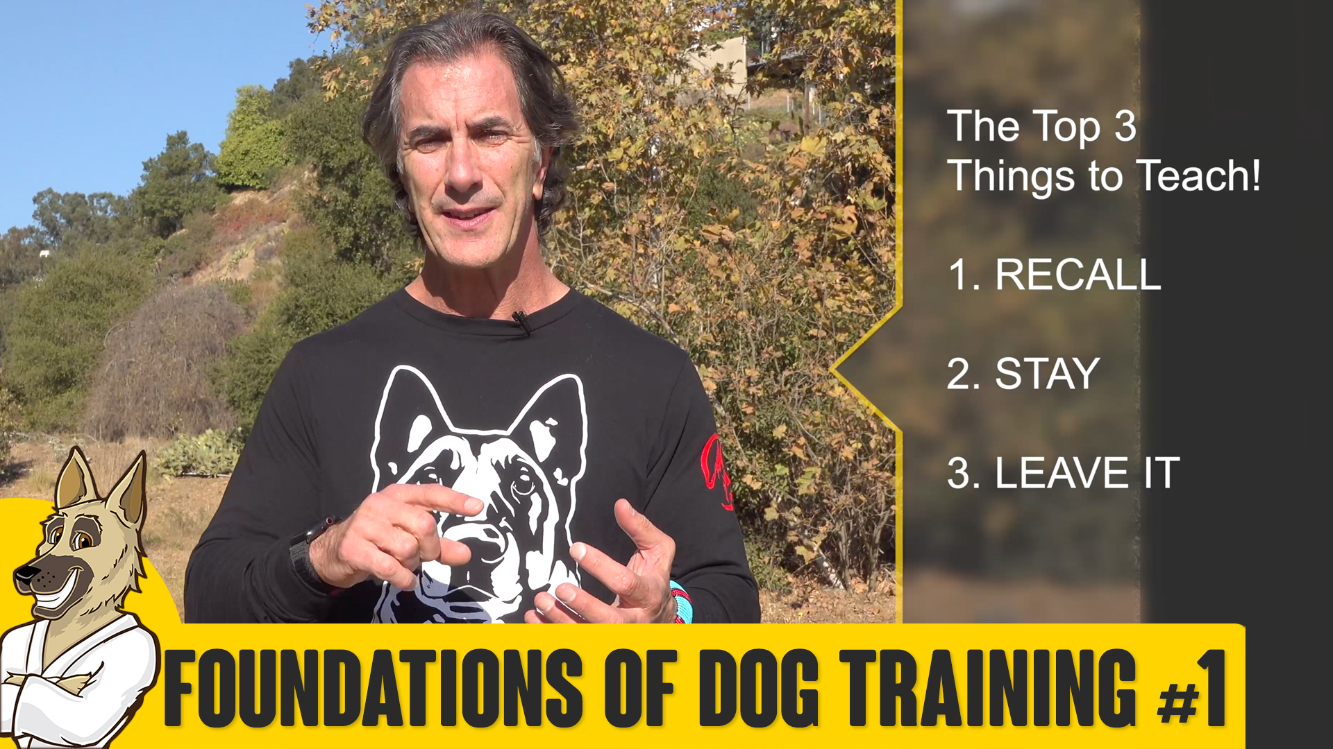 Foundations of Dog Training #1: Schedule