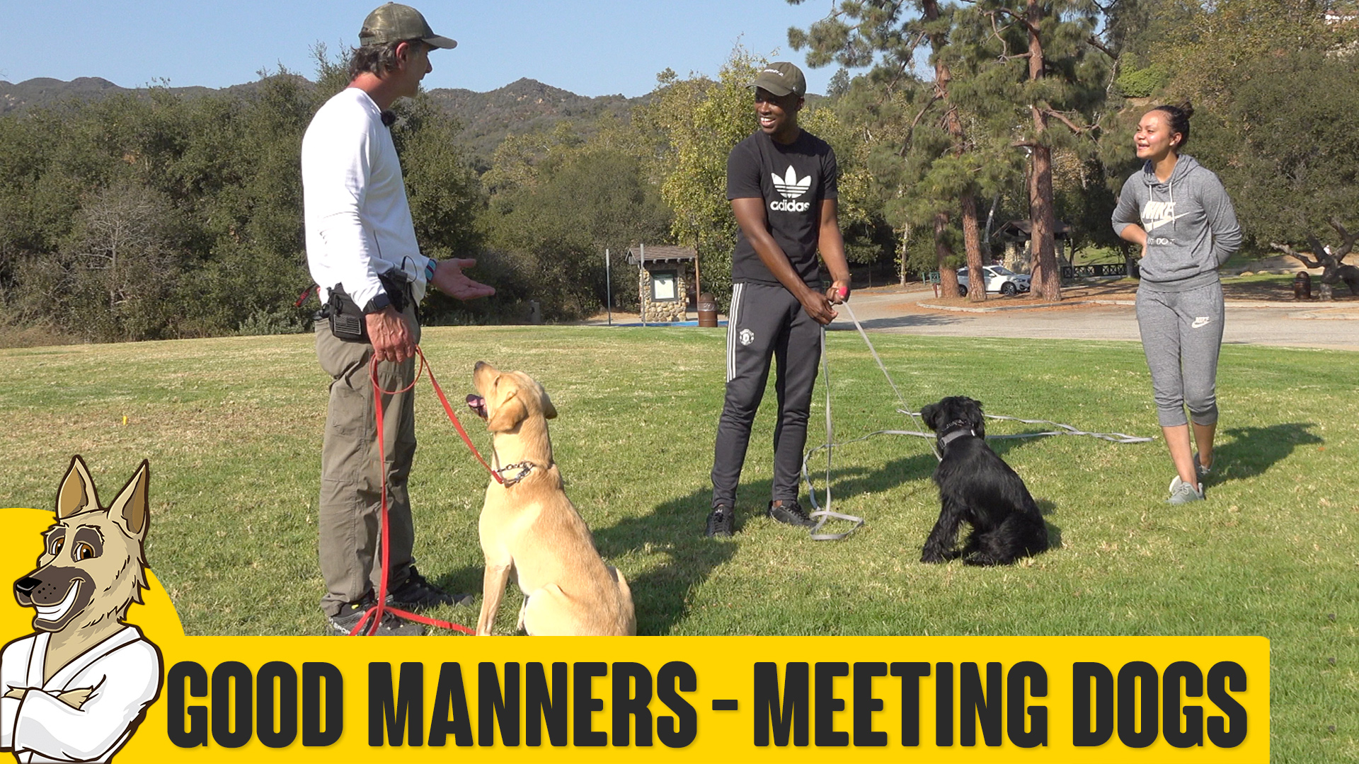 Manners When Meeting Dogs with LJ