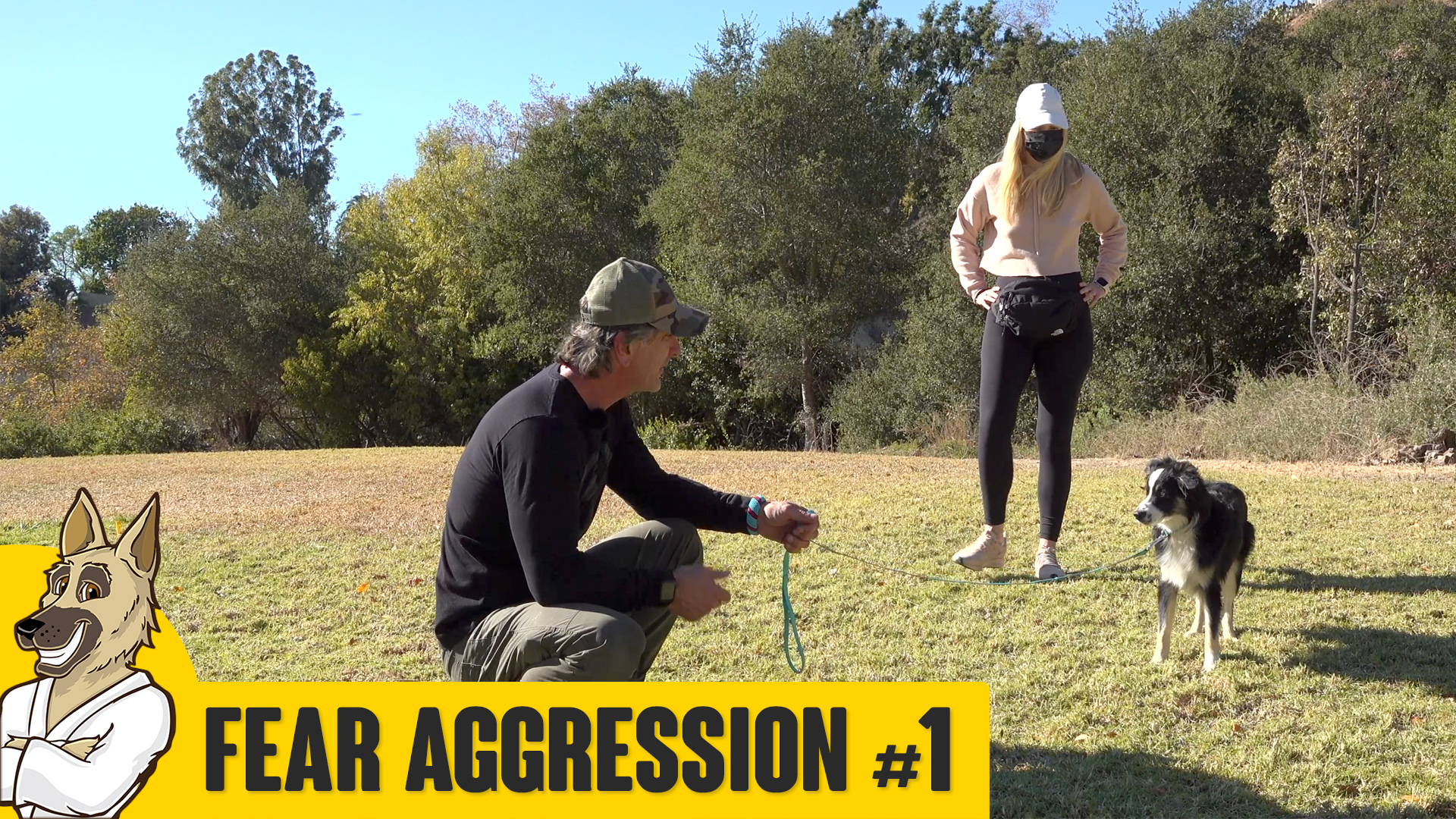 Fear Aggression Part 1