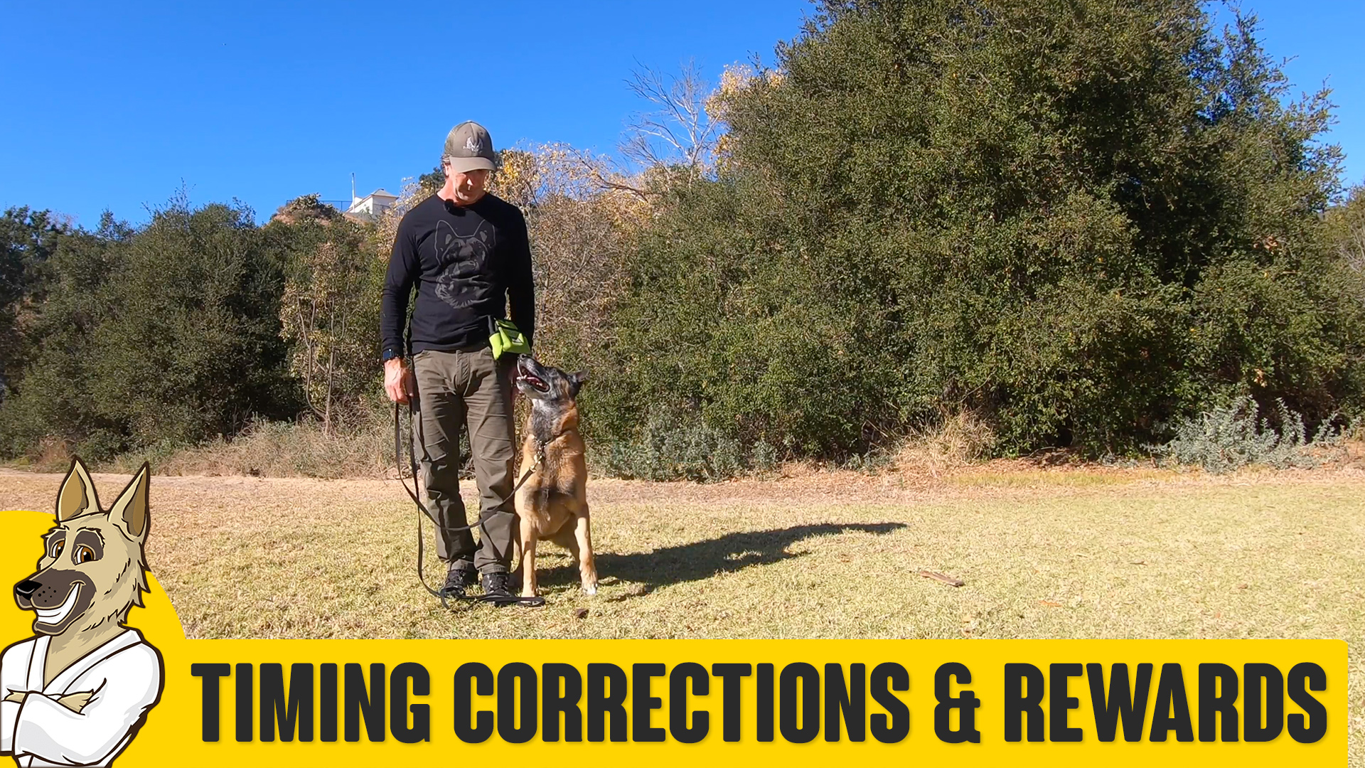 Timing Corrections and Rewards in Marker Training