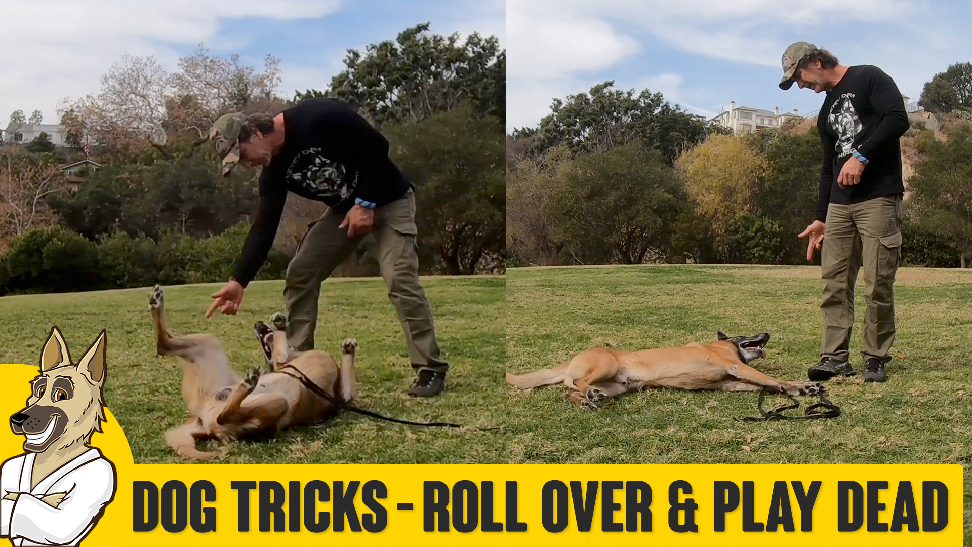 Trick Dog Training – Roll Over and Play Dead