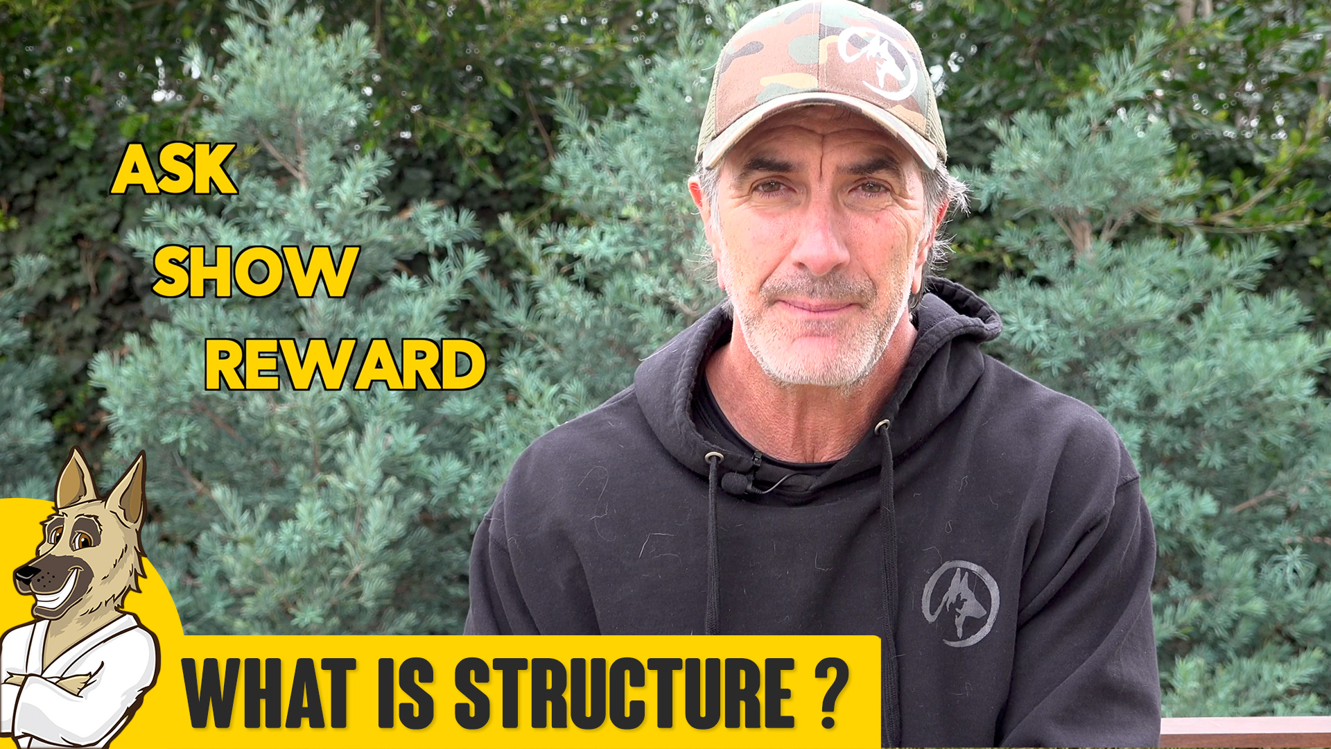 What is Structure