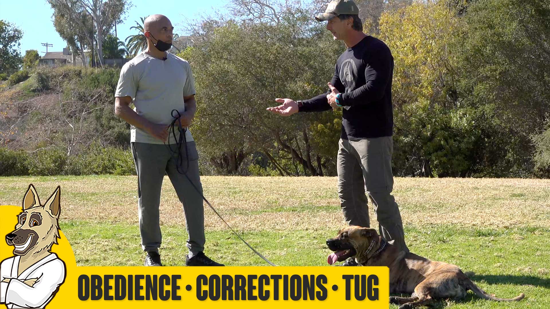 Obedience, Corrections & Tug With Harold and Rio – Part 2
