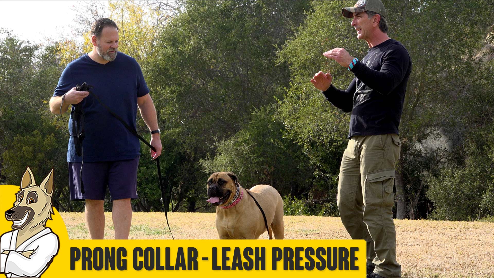 Prong Collar and Leash Pressure