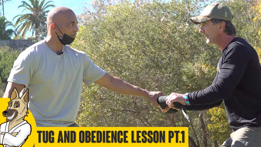 Tug and Obedience with Rio and Harold – Part 1