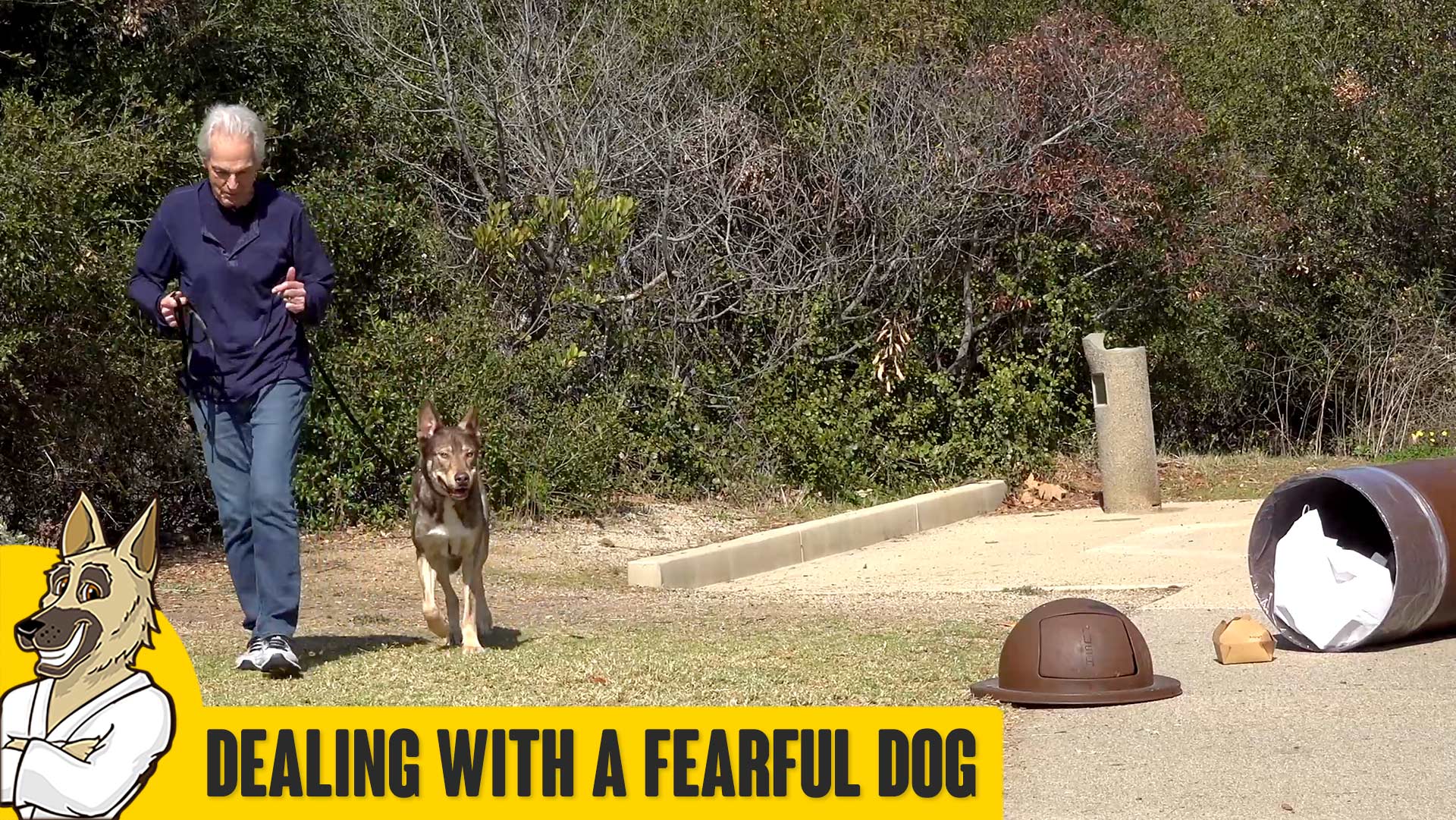 Dealing with a Fearful Dog