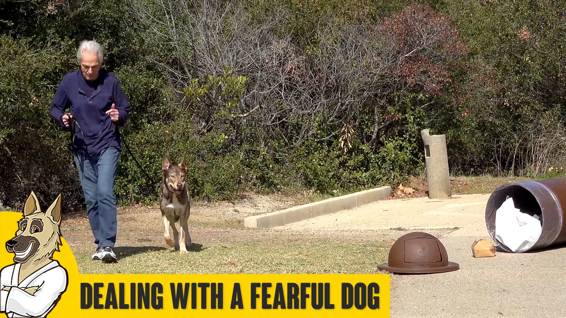 how do you deal with a fearful dog