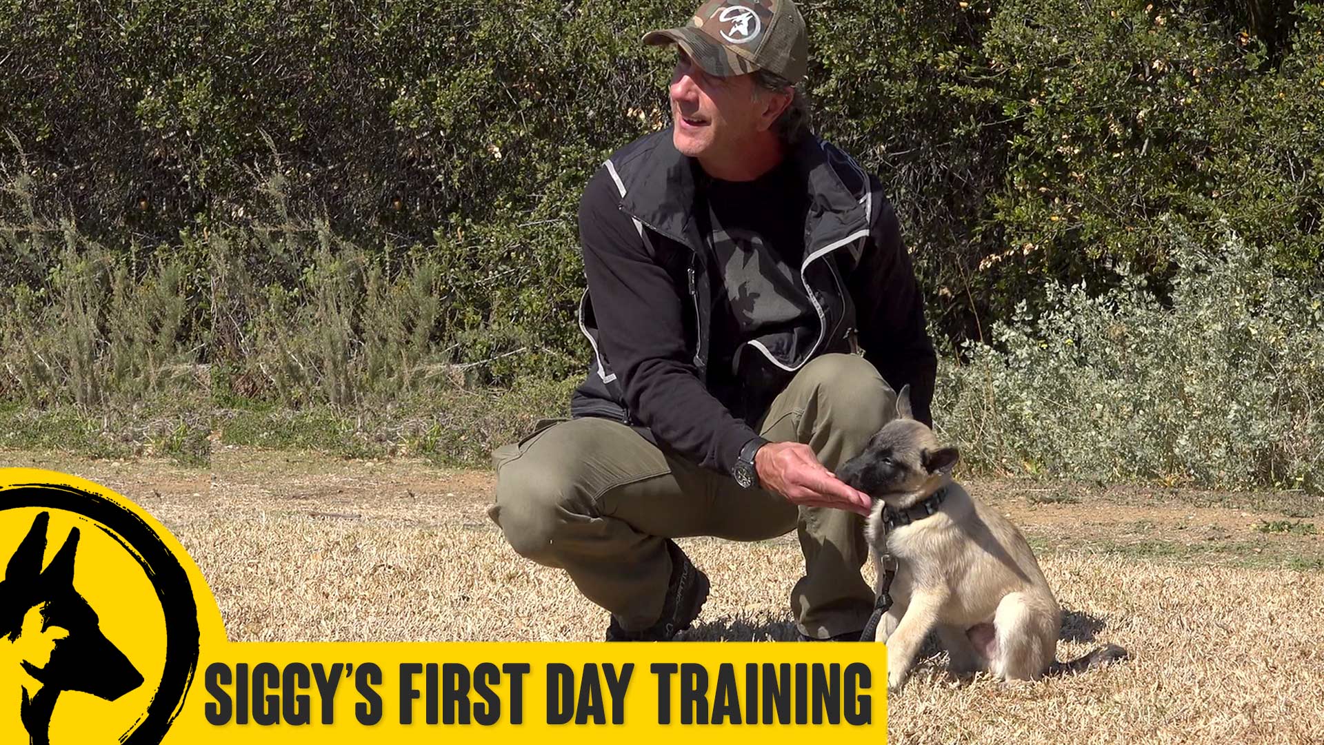 Siggy’s First Training Day – 9 Week Old Puppy