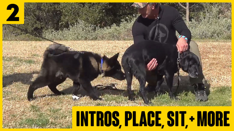 Training Series Robert Cabral