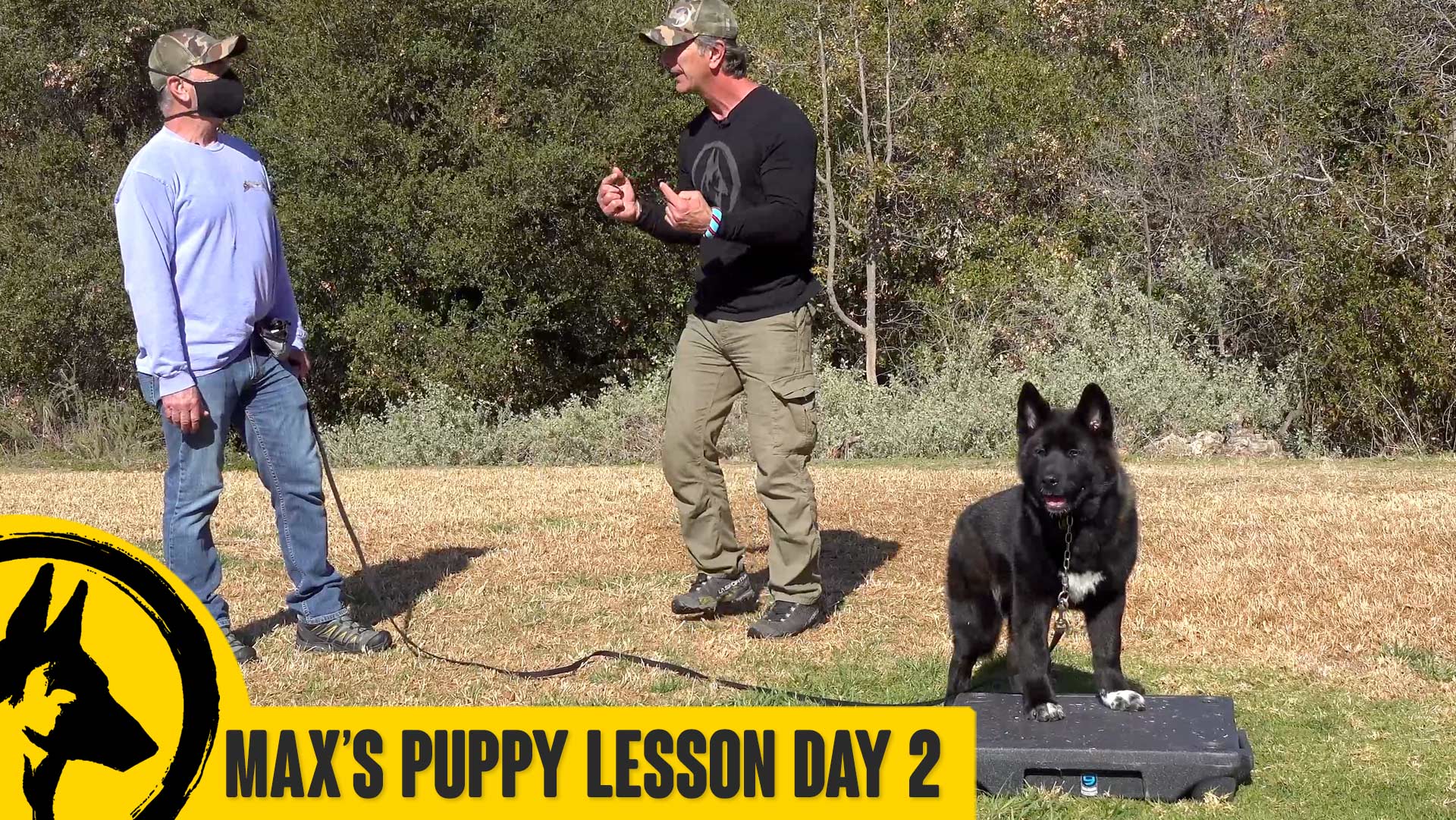 Max’s Puppy Lesson Day 2