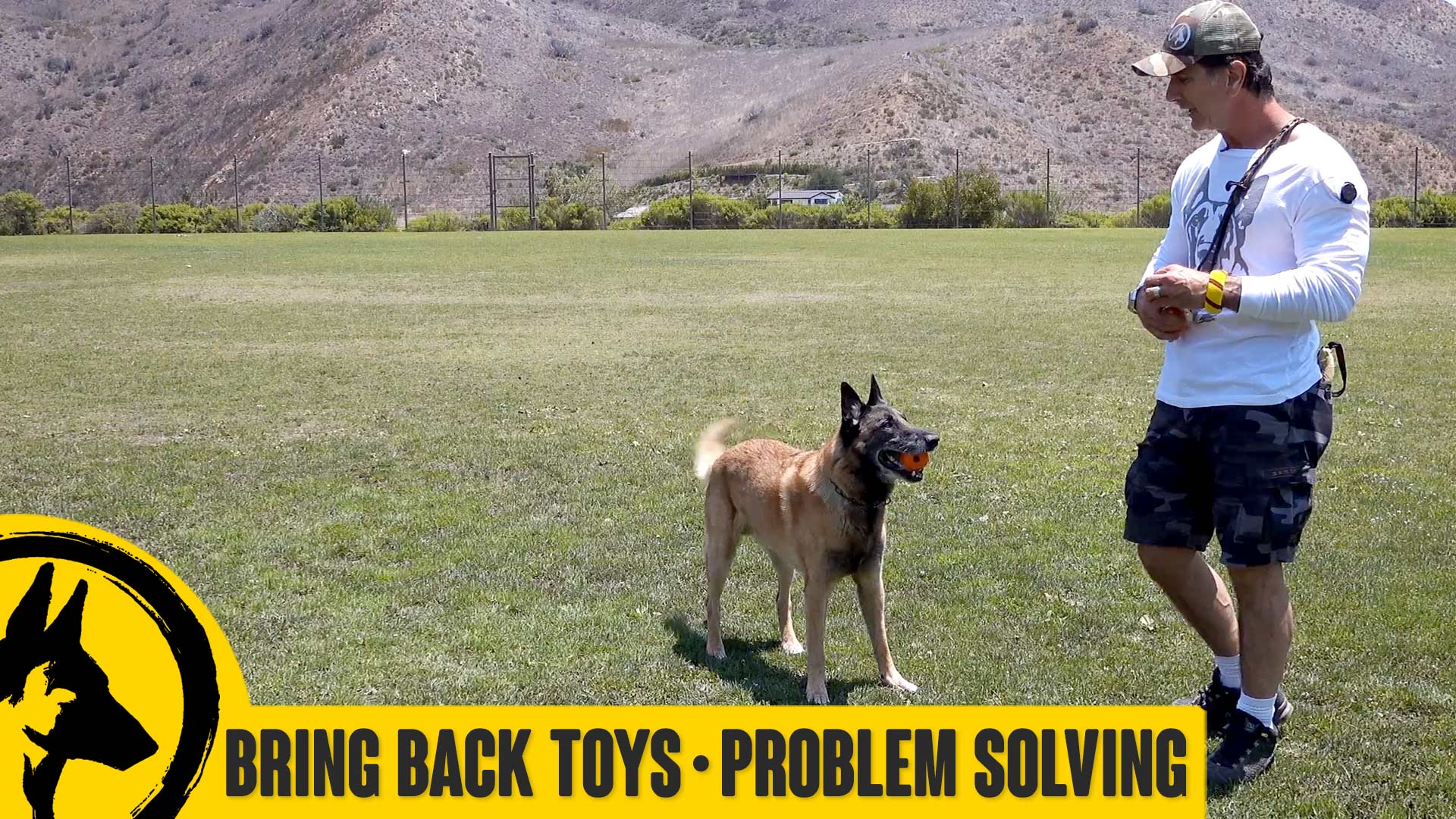 Bringing Back Toys – Problem Solving