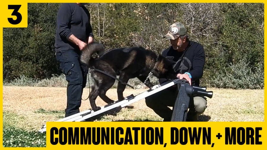 Training Series Robert Cabral