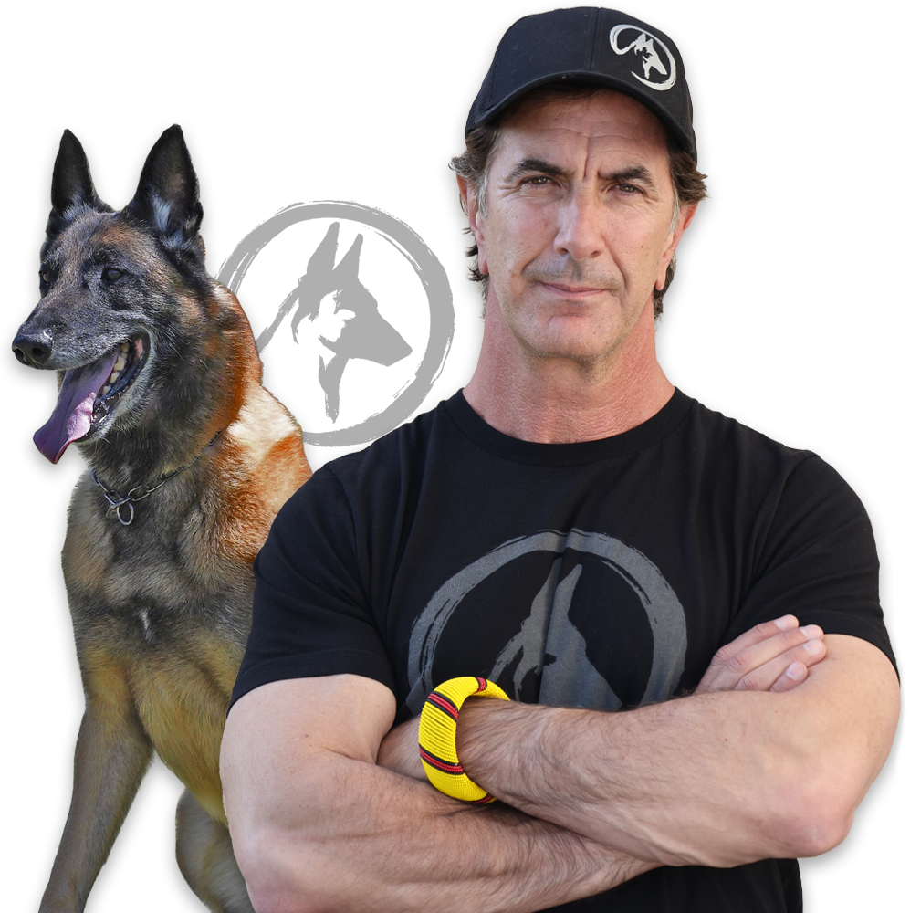 Online Dog Training Videos - Robert Cabral Training Lessons