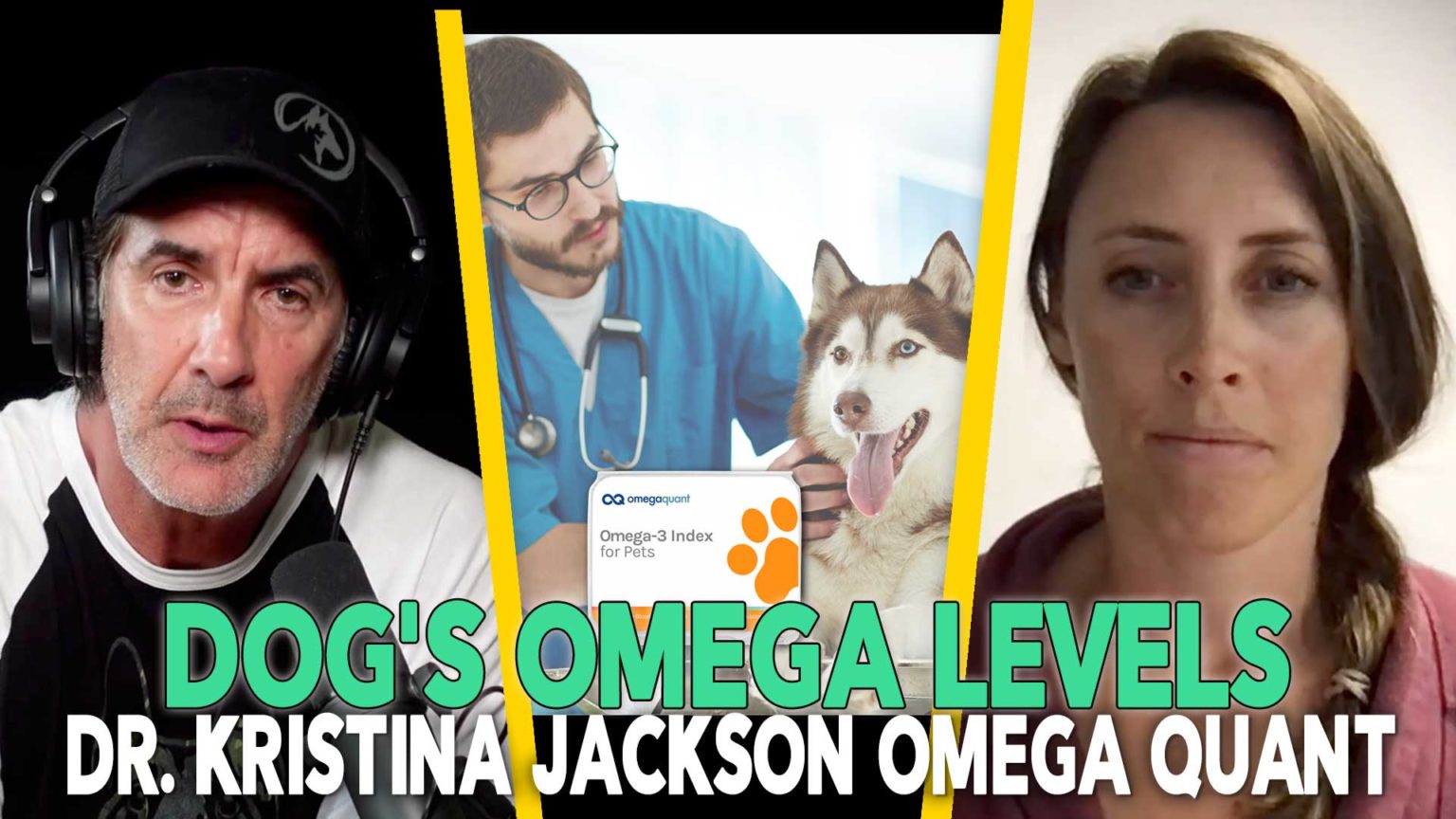 The Health Benefits of Fish Oils for Dogs Dr Kristina Jackson EP