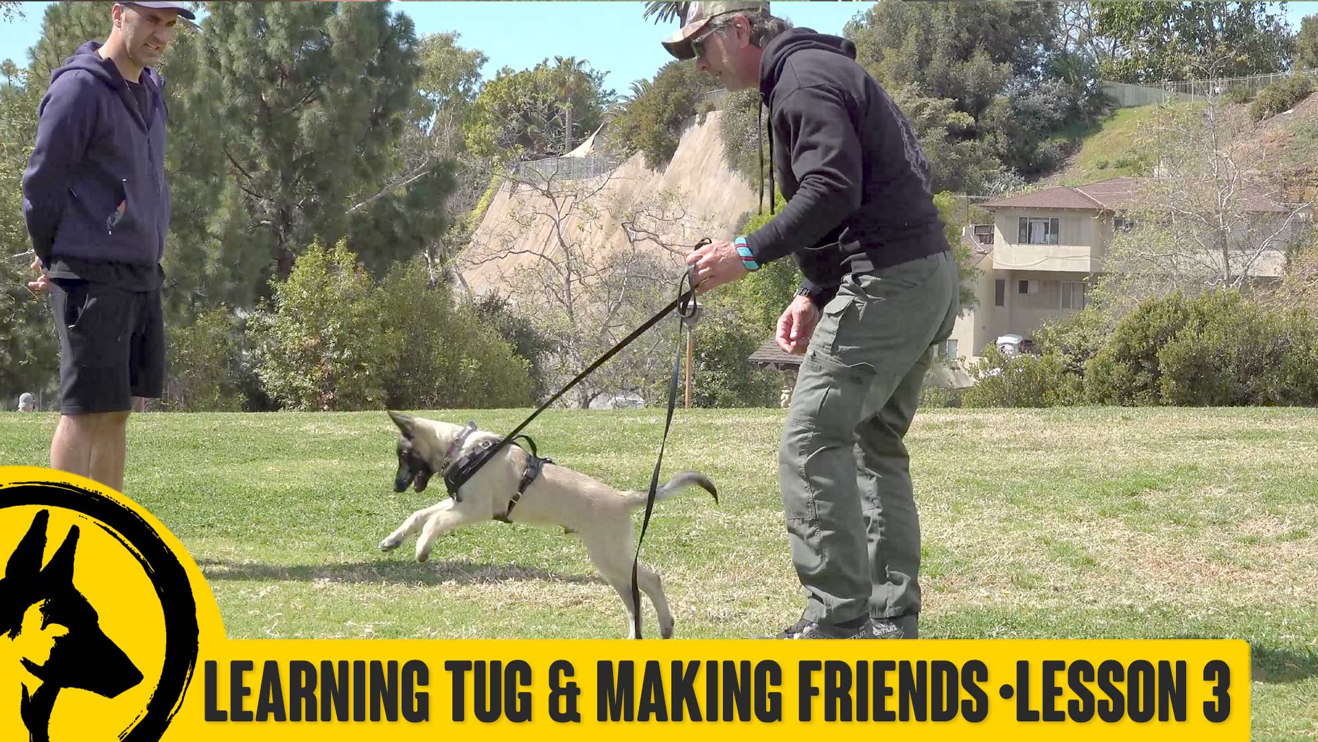 Learning TUG & Meeting Other Dogs Siggy Day 3