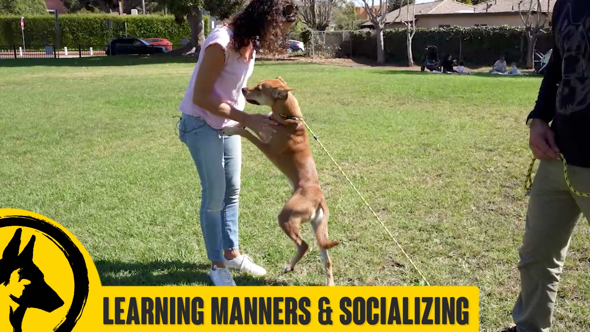 Buster Learns Manners and Social Skills (Jumping on People)