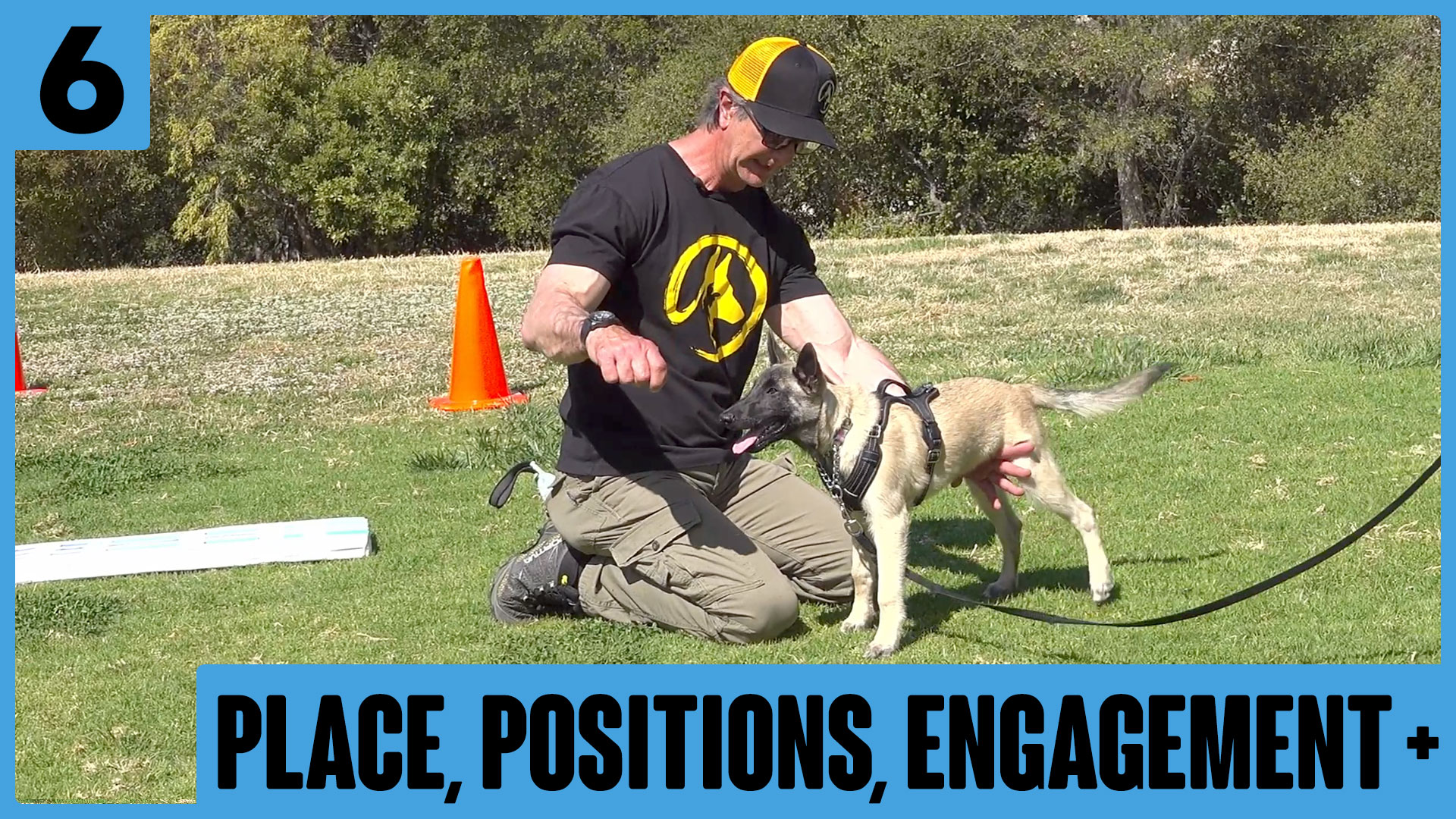 Siggy Puppy Lesson #6 – Place, Engagement, Distractions & more