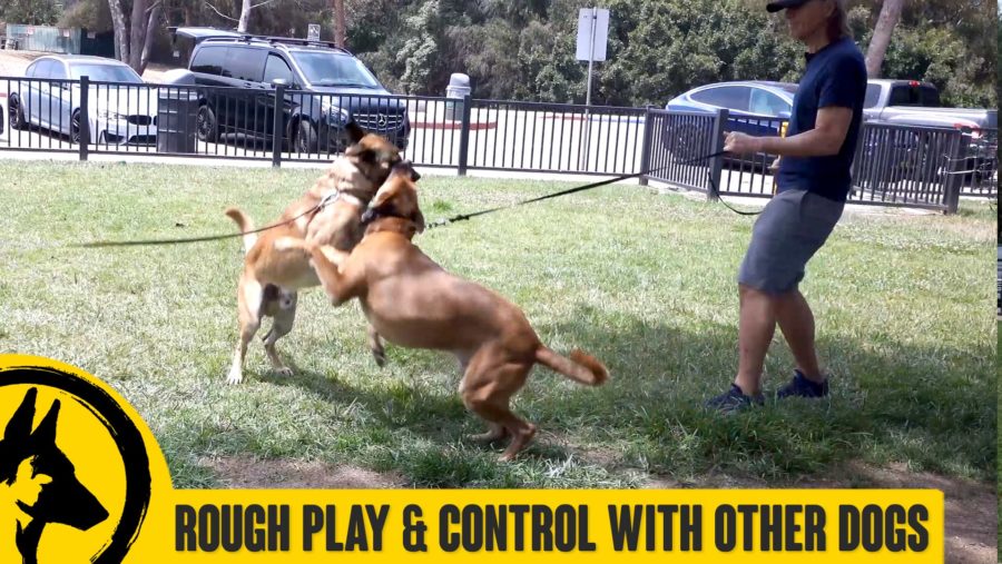 red-and-nitro-control-TN