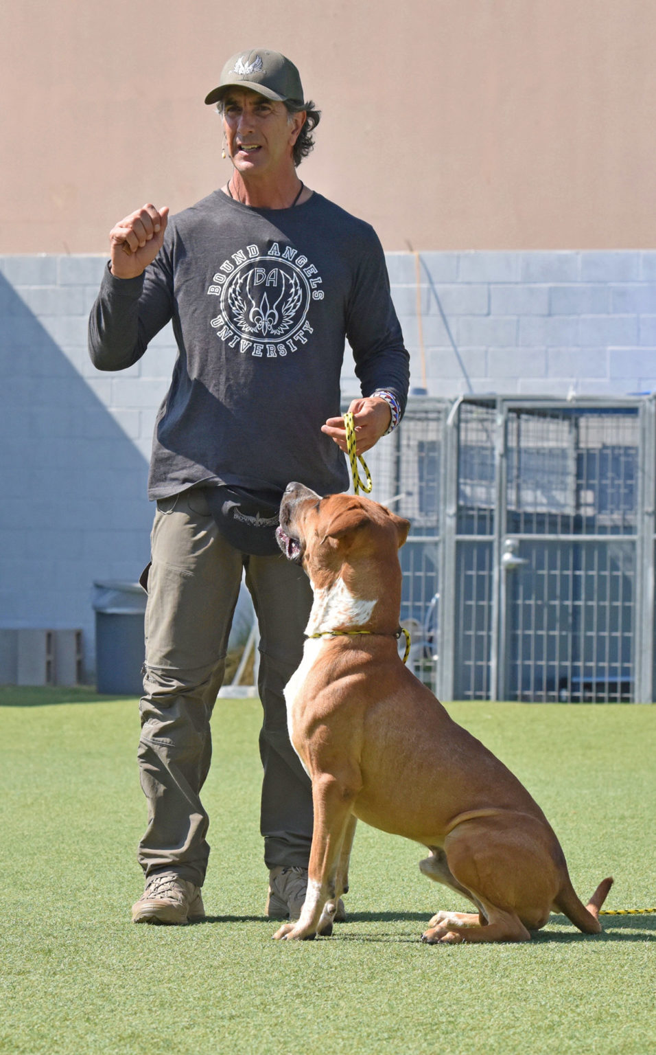 Shelter Dog Training Program - Robert Cabral