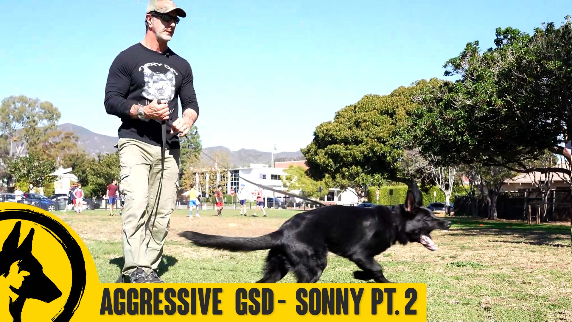 Aggressive German Shepherd – Sonny Pt. 2